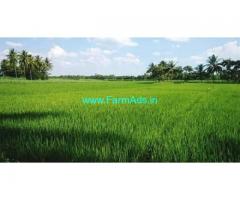 8.01 Acres Agriculture Land for Sale near at Penumanchili