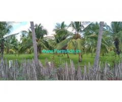 4 Acres Coconut farm for sale at Nadupatti, Pudukottai near Tanjavur.