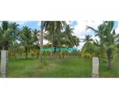 4 Acres Coconut Farm Land for Sale near Thanjavur