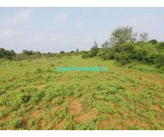 2.5 Acres Mango Farm Land for Sale near Rompicharla