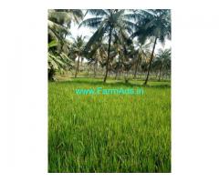 10 Acre Developed Farm Land for Sale in Kundapur