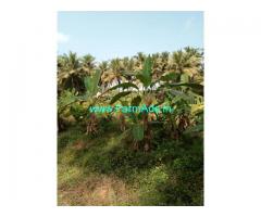 10 Acre Developed Farm Land for Sale in Kundapur
