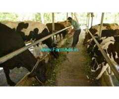 5 Acres Well established Dairy,Poulty,Goat Farm for Sale near Pattom
