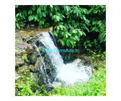 60 acre robusta coffee plantation for sale In Chikkamgaluru.