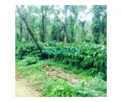 60 acre robusta coffee plantation for sale In Chikkamgaluru.