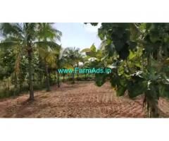 10 Acres coconut farm land for sale at Huliyar Hobli, Chikanayakanahalli