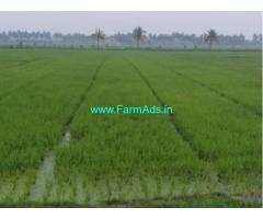 6 Acres Agriculture Land for Sale near Bhimavaram