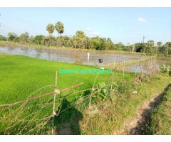 Agricultural land sale 2.77 Acres via mamallapuram to thirukazhukundram