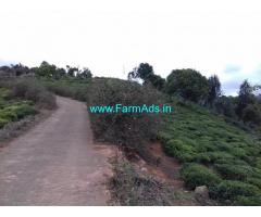100 Acres Tea Estate for Sale at Ooty