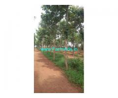3 Acres Agriculture Land for Sale near Kanakapura