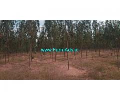 160 Acres Agriculture Land for Sale near Veldanda