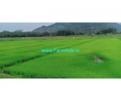 4.2 Acres Paddy Land for sale at Palani, Dindigul.