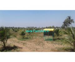 4 acres Coconut farm for sale Tindivanam viakancheepuram route