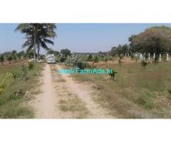4 acres Coconut farm for sale Tindivanam viakancheepuram route