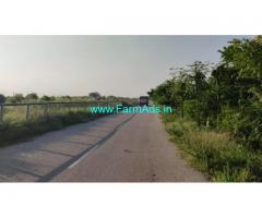 1 Acre Coconut farm for sale at Sira, Bangalore - Pune Highway