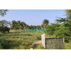 1 Acre Coconut farm for sale at Sira, Bangalore - Pune Highway
