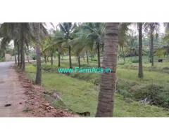 1 Acre coconut farm land for sale at Sira Taluk, Tumkur