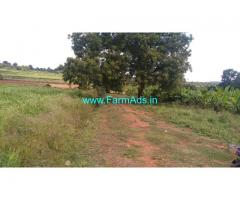 1 Acre 17 Guntas farm land for sale in Bogadhi-Gaddige Route, Mysore.