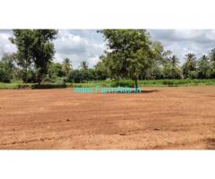 2 acre coconut farm for sale near Malavalli, 80km from bangalore