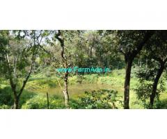 5 acres Arabica Coffee Estate for sale just 16 km from Chikmagalur.