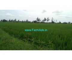 Agriculture farm land for sale 1.25 Acres At Thally