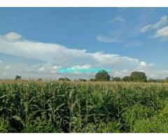 9 Acres Agriculture Land for Sale near Zahirabad