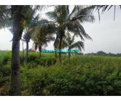 6 Acres Farm Land for Sale near Doulatabad,Bijapur Hyderabad highway