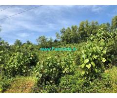 2.37 Acres Agriculture Land for Sale near Uppinangady,Puttur Road