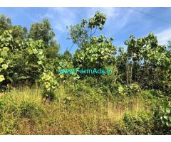 2.37 Acres Agriculture Land for Sale near Uppinangady,Puttur Road