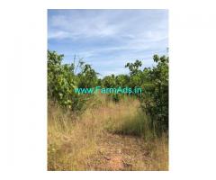 2.67 Acres Farm Land for Sale near Uppinagady Puttur road
