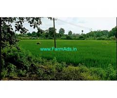 10 Acres Agriculture Land for Sale near Kesamudram