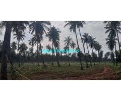 17 Acres Coconut.Mango Farm Land for Sale near Channapatna