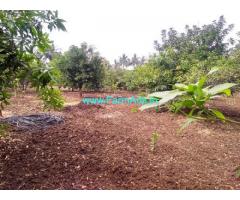 2.30 Acres Agriculture Land for Sale near Kurnool,Orvakal airport