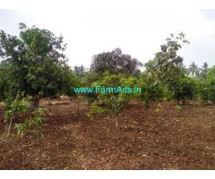 2.30 Acres Agriculture Land for Sale near Kurnool,Orvakal airport