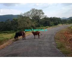 2 acre plain farm land for sale in Mudigere. Scenic beautiful place.