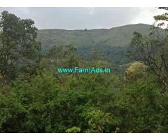2 acre plain farm land for sale in Mudigere. Scenic beautiful place.