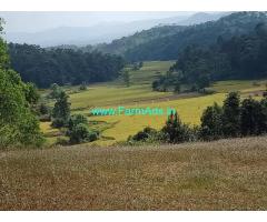 1 acre farm land for sale in sakaleshpura, Beautiful scenic view.