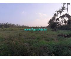3.30 Acres Farm Land for sale at Hanabe, near Kestur, Kasaba Hobli