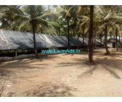 3.5 Acre Land with Poultry farm for sale in Yelanduru, Chamrajanagara.