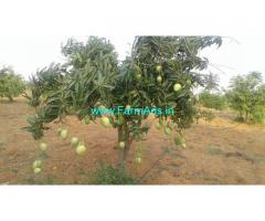 5 Acres Mango Farm for Sale near Jangoan,Srirama Temple