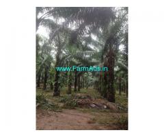 27 Acres Palm Oil Farm for Sale at Parvathipuram