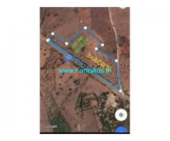 3 Acres Agriculture Land for Sale near Wadaparthy