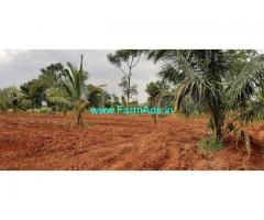14 Acres Coconut Farm Land for Sale Near Nanjangud Road
