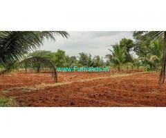 14 Acres Coconut Farm Land for Sale Near Nanjangud Road