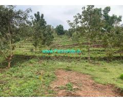 2 acres of farm land for sale in Attappady, Palakkad. in cheap price