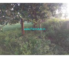 1.15 ACRE FARM LAND - Near Hullahalli  Nanjangud Taluk