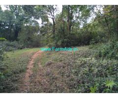 25 acre plain farm land for sale at Mudigere. 16 km from city