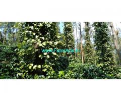26 Acres Coffee estate for sale Two kms from Aldur, chikkamagaluru