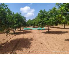 6.5 Acer Agriculture Land mango thottta for sale in yadadri bhonigir