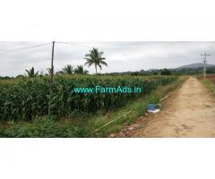 6 Acres Agriculture land available for sale at chintamani